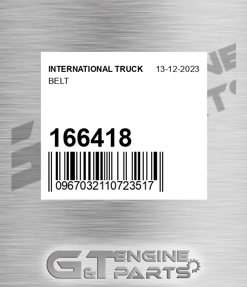 166418 Belt
