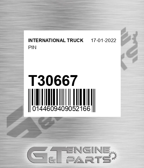 T30667 Pin