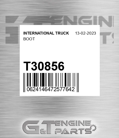 T30856 Boot