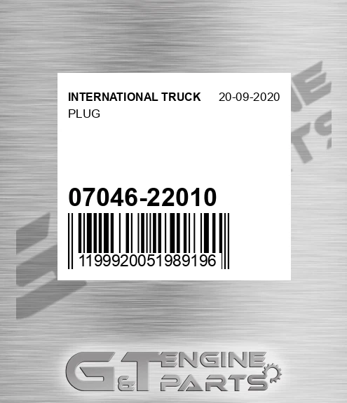 07046-22010 Plug
