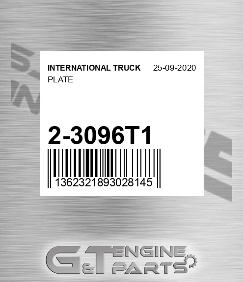 2-3096T1 Plate