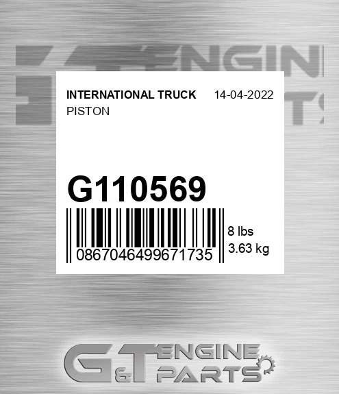 G110569 Piston