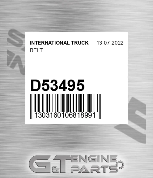 D53495 Belt