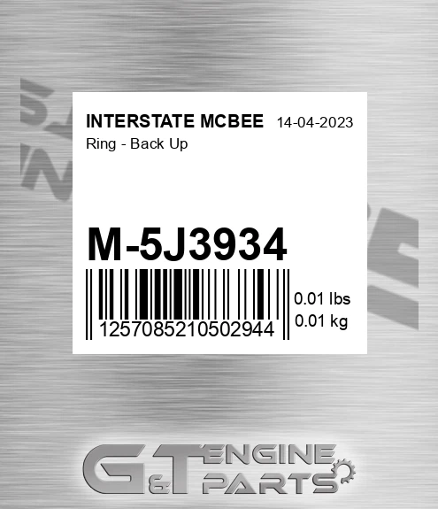 M-5J3934 Ring - Back Up