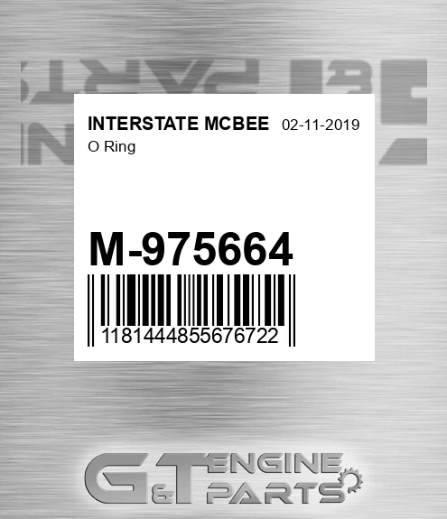 M-975664 O Ring