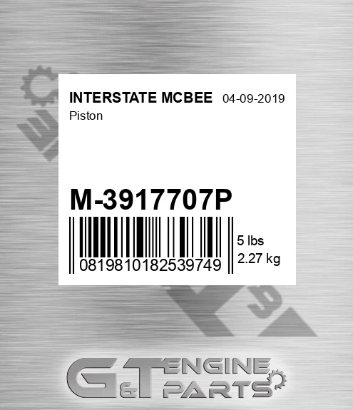M-3917707P Piston