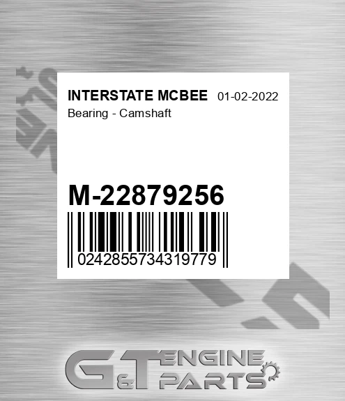 M-22879256 Bearing - Camshaft