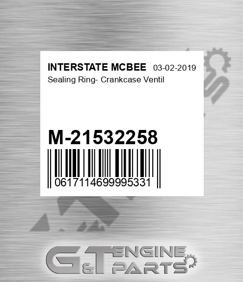 M-21532258 Sealing Ring- Crankcase Ventil