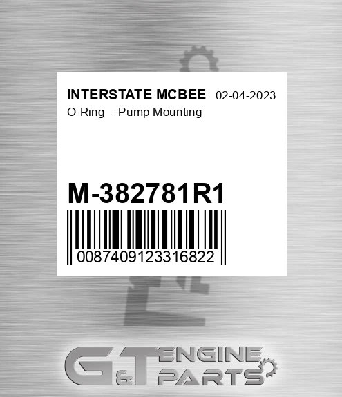 M-382781R1 O-ring - Pump Mounting