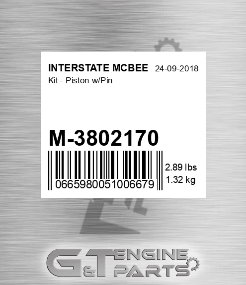 M-3802170 Kit - Piston W/pin