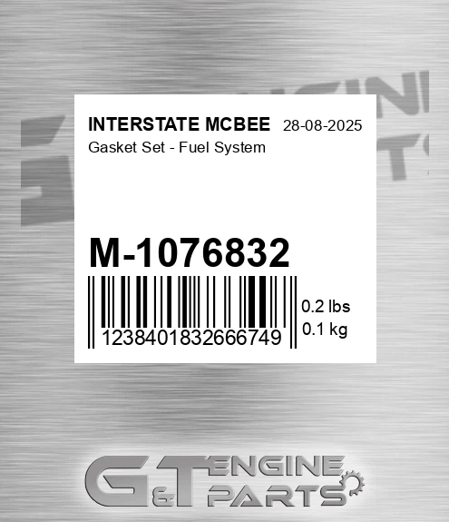 M-1076832 Gasket Set - Fuel System for INTERSTATE MCBEE