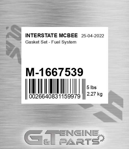 M-1667539 Gasket Set - Fuel System for INTERSTATE MCBEE