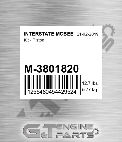 M-3801820 Kit - Piston