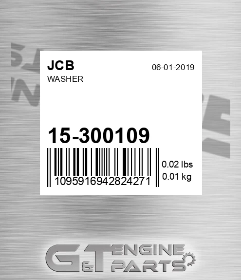 15/300109 Washer