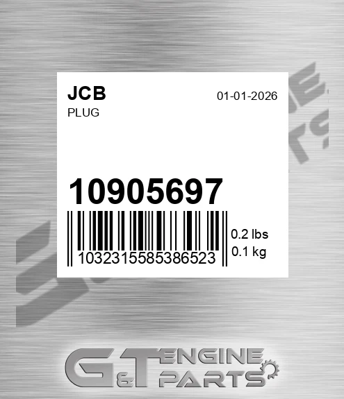 10/905697 Plug