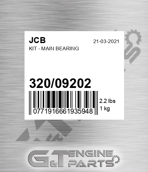 320/09202 Kit - Main Bearing