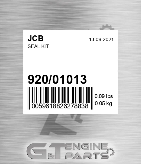 920/01013 Seal Kit