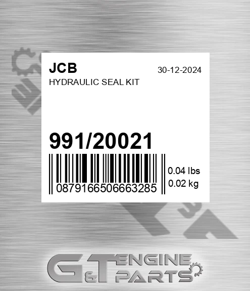 991/20021 Hydraulic Seal Kit
