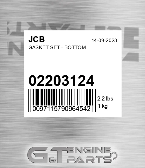 02/203124 Gasket Set - Bottom