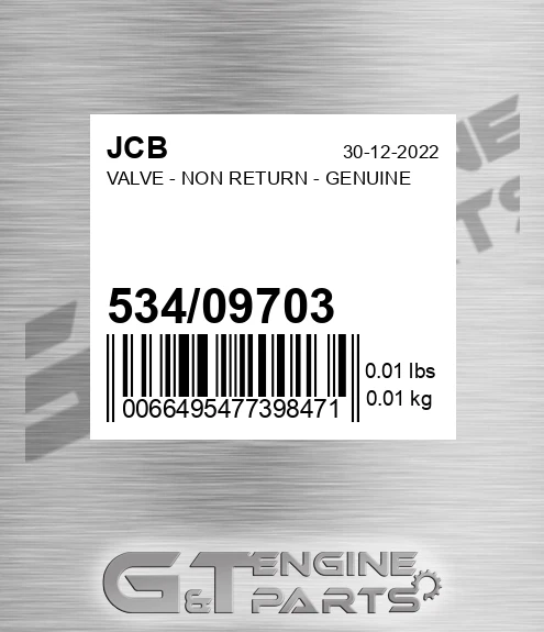 534/09703 Valve - Non Return - Genuine