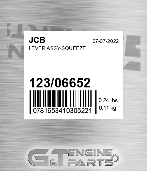 123/06652 Lever Assy-squeeze
