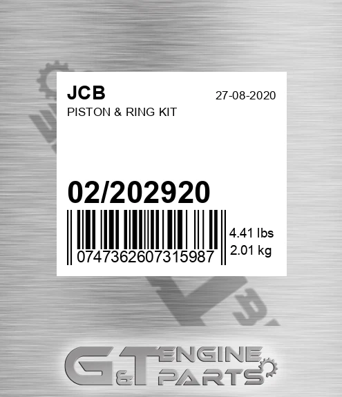 02/202920 Piston & Ring Kit