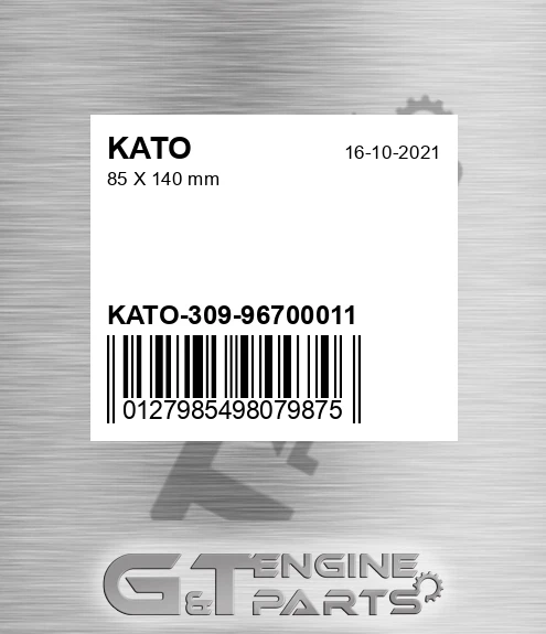 -309-96700011 85 X 140 Mm