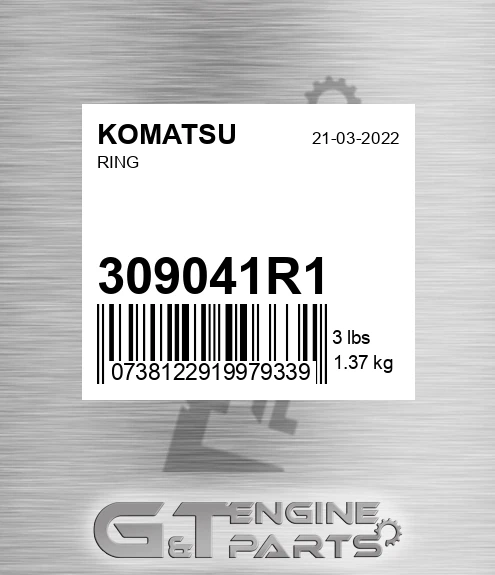 309041R1 Ring for KOMATSU