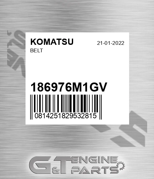 186976M1GV Belt