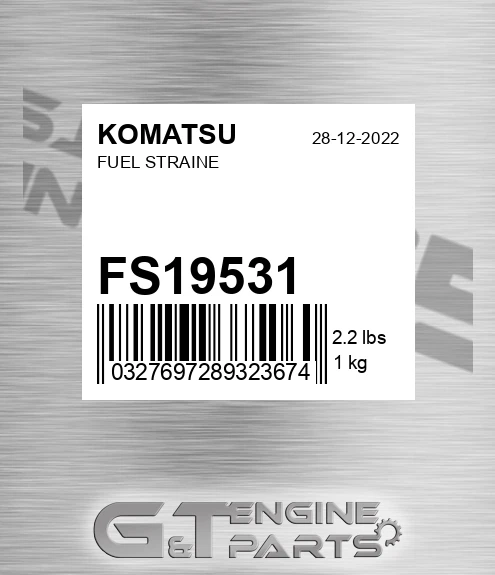 FS19531 Fuel Straine