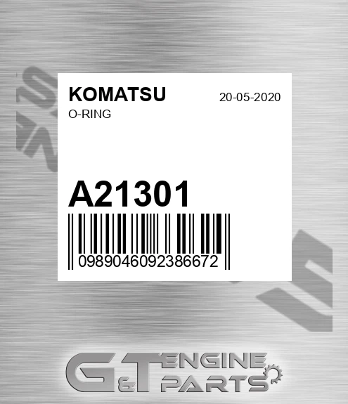 A21301 O-ring