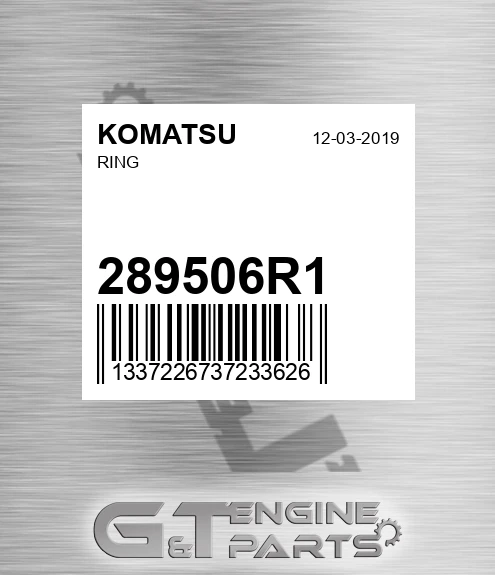 289506R1 Ring for KOMATSU