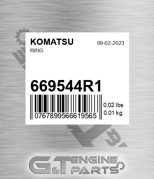 669544R1 Ring