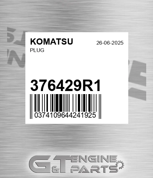 376429R1 Plug