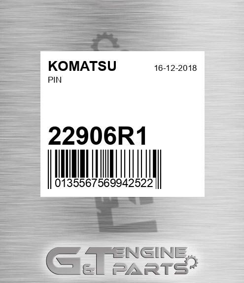 22906R1 Pin