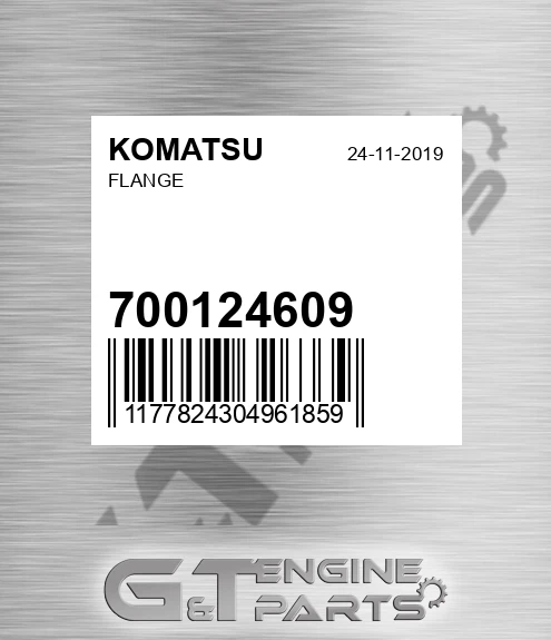 700124609 KOMATSU Flange