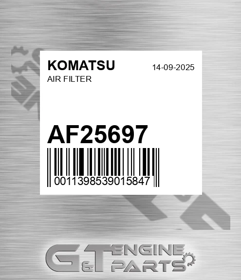 AF25697 Air Filter