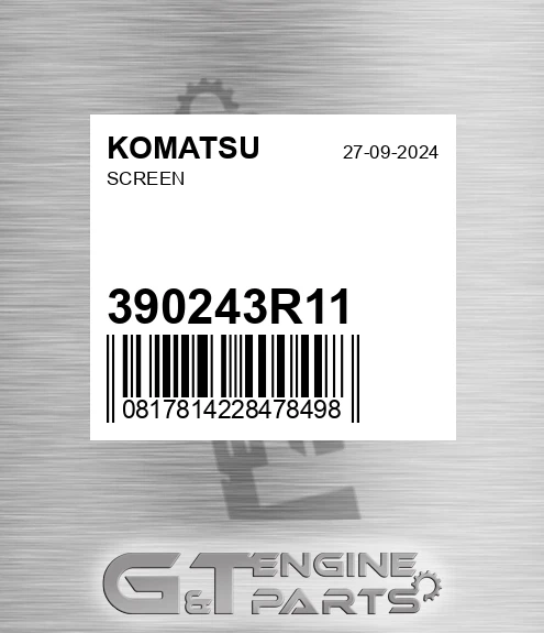 390243R11 Screen