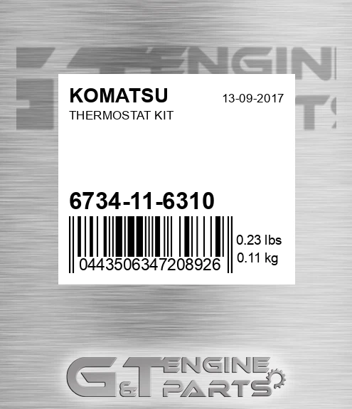 6734-11-6310 Thermostat Kit for KOMATSU