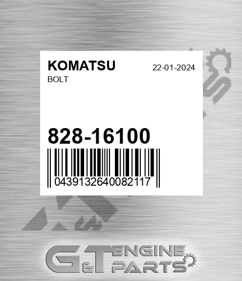 828-16100 Bolt