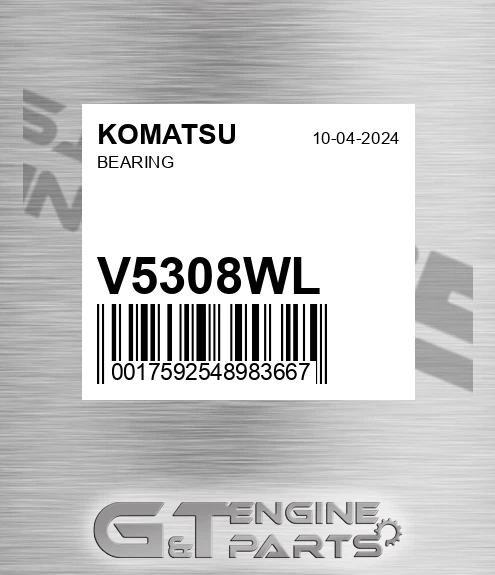 V5308WL Bearing
