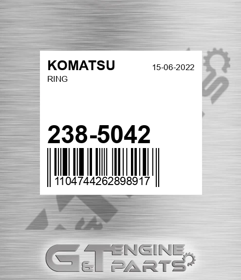 238-5042 Ring
