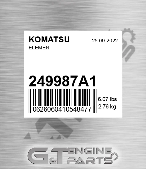 249987A1 Element