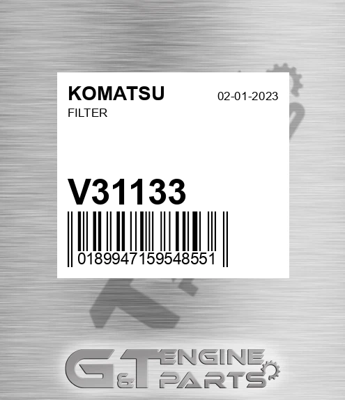V31133 Filter