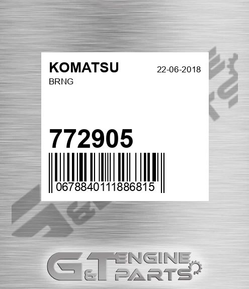 772905 Brng