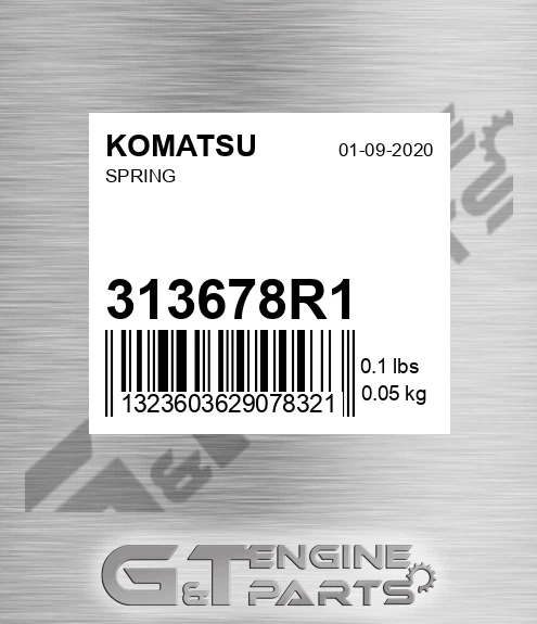 313678R1 Spring