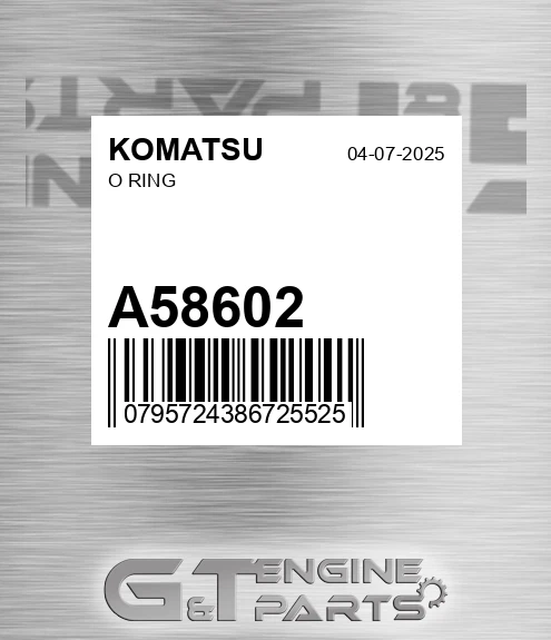 A58602 O Ring