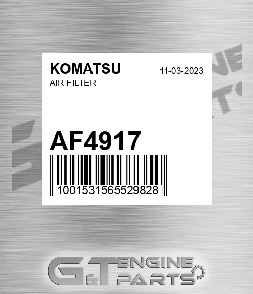 AF4917 KOMATSU Air Filter