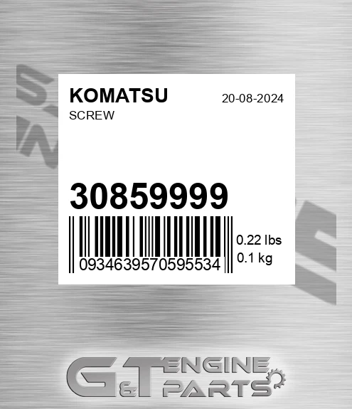 30859999 Screw for KOMATSU