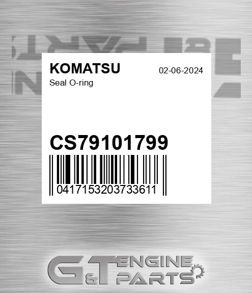 CS79101799 Seal O-ring